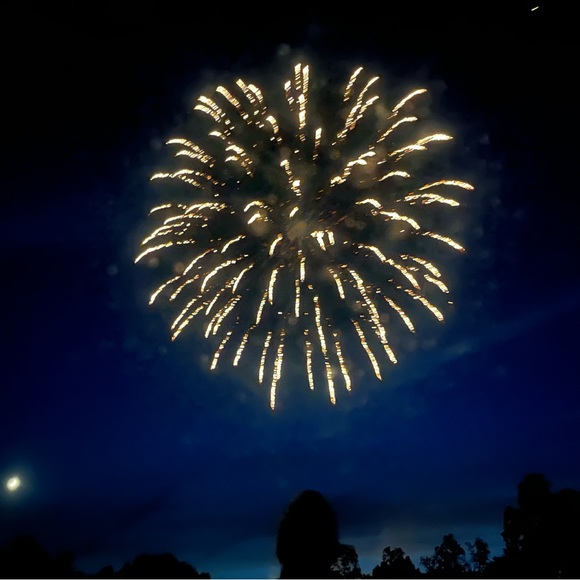 Meet your Posher, Elizabeth - Picture 5 of 15